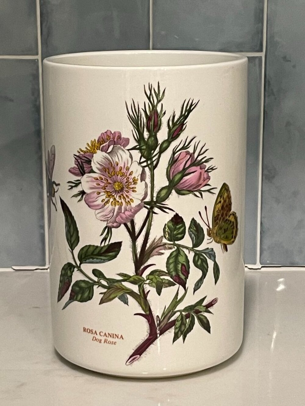 Storage Jar (No Lid)  Botanic Garden by Portmeirion Rose Canina Dog Rose